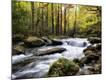 Premium Giclee Print