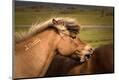 Premium Photographic Print