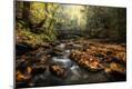 Photographic Print