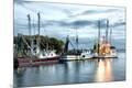 Premium Giclee Print