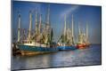 Photographic Print