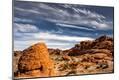 Photographic Print