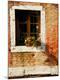 Premium Photographic Print