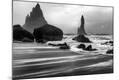 Photographic Print