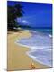 Premium Photographic Print