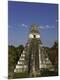 Premium Photographic Print