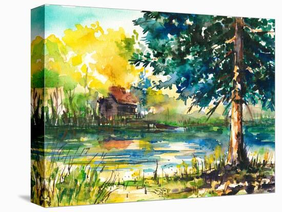 Stretched Canvas Print, , large