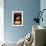 Danois Cheese-null-Framed Premium Giclee Print displayed on a wall