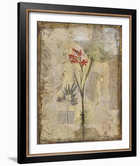 Dans Le Jardin I-Douglas-Framed Giclee Print