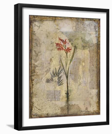 Dans Le Jardin I-Douglas-Framed Giclee Print