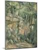 Dans le parc de Château-Noir-Paul Cézanne-Mounted Giclee Print