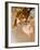 Danseuse-Edgar Degas-Framed Art Print