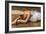 Danseuse-Andrea Bassetti-Framed Art Print