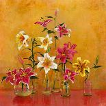 Lilies In Vases II-Danson-Framed Giclee Print