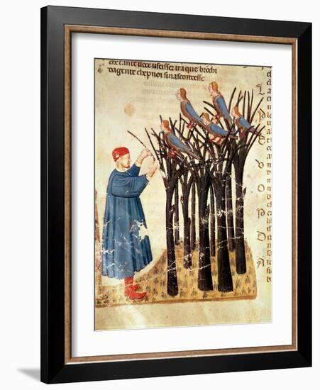 Dante and the Souls Transformed into Birds, from 'The Divine Comedy' by Dante Alighieri (1265-1321)-Italian-Framed Giclee Print