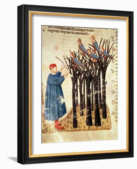 Dante and the Souls Transformed into Birds, from 'The Divine Comedy' by Dante Alighieri (1265-1321)-Italian-Framed Giclee Print