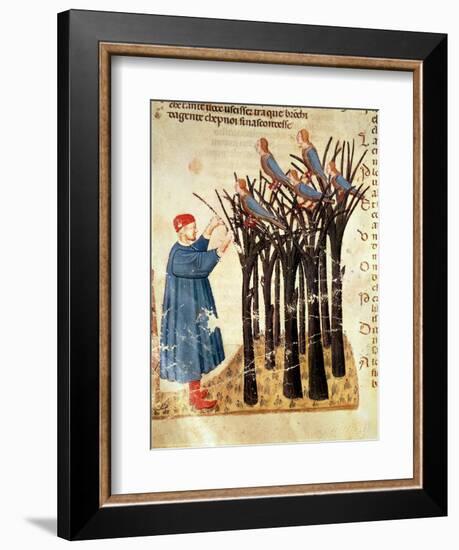 Dante and the Souls Transformed into Birds, from 'The Divine Comedy' by Dante Alighieri (1265-1321)-Italian-Framed Giclee Print