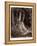 Dante in the Gloomy Wood-Gustave Dore-Framed Premier Image Canvas