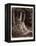 Dante in the Gloomy Wood-Gustave Dore-Framed Premier Image Canvas