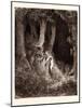 Dante in the Gloomy Wood-Gustave Dore-Mounted Giclee Print