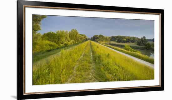 Danube-Auen National Park, Near Orth on the Danube, Lower Austria, Austria-Rainer Mirau-Framed Photographic Print