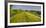 Danube-Auen National Park, Near Orth on the Danube, Lower Austria, Austria-Rainer Mirau-Framed Photographic Print