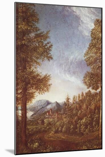 Danube Landscape with Castle Worth, C.1522-25-Albrecht Altdorfer-Mounted Giclee Print