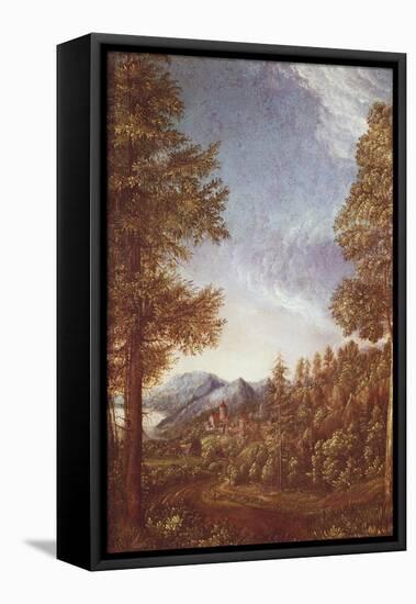 Danube Landscape with Castle Worth, C.1522-25-Albrecht Altdorfer-Framed Premier Image Canvas