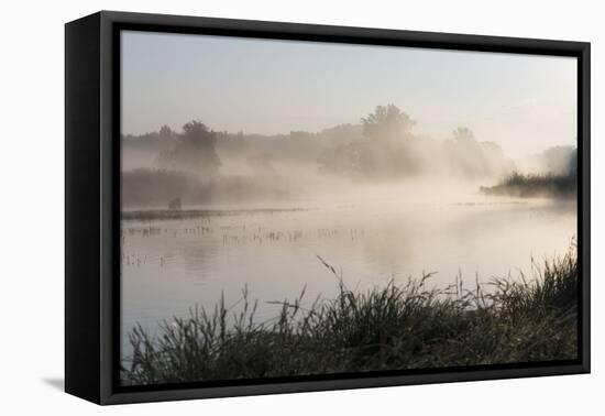 Danube Meadows, Austria-Rainer Mirau-Framed Premier Image Canvas