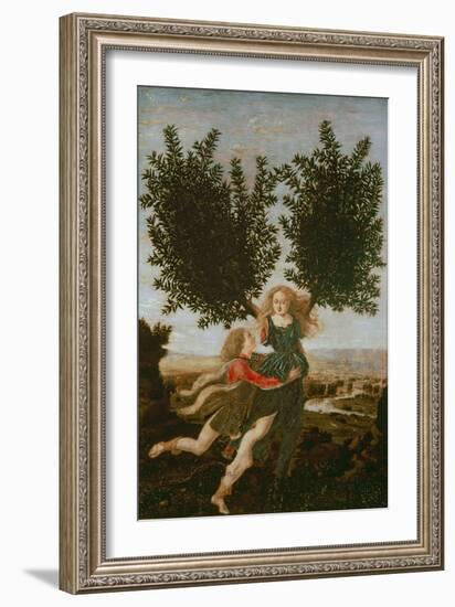 Daphne and Apollo, c.1470-80-Antonio Pollaiolo-Framed Giclee Print
