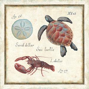 Oceanography II by Daphne Brissonnet