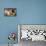 Daphnis and Chloe-Leon Bakst-Premium Giclee Print displayed on a wall