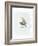 Dapper Bird II-June Vess-Framed Art Print