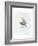 Dapper Bird II-June Vess-Framed Art Print