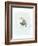 Dapper Bird II-June Vess-Framed Art Print