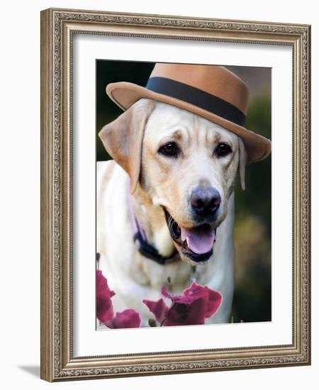 Dapper Dog-Susan Bryant-Framed Art Print