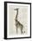 Dapper Giraffe-Christopher James-Framed Art Print