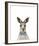 Dapper Kangaroo-Marco Simoni-Framed Giclee Print