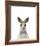 Dapper Kangaroo-Marco Simoni-Framed Giclee Print