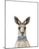 Dapper Kangaroo-Marco Simoni-Mounted Giclee Print