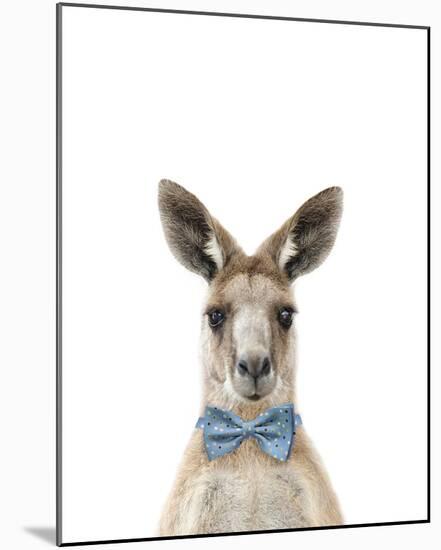 Dapper Kangaroo-Marco Simoni-Mounted Giclee Print