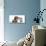 Dapple Dachshund puppy with rabbit and kitten-Mark Taylor-Photographic Print displayed on a wall