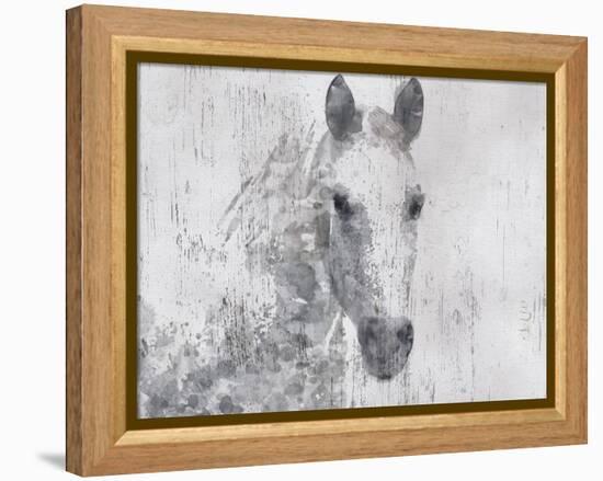 Dapple Horse I-Irena Orlov-Framed Stretched Canvas