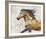 Dappled Horse - Gallop-Mark Chandon-Framed Giclee Print