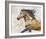 Dappled Horse - Gallop-Mark Chandon-Framed Giclee Print