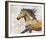 Dappled Horse - Gallop-Mark Chandon-Framed Giclee Print