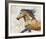 Dappled Horse - Gallop-Mark Chandon-Framed Giclee Print