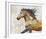 Dappled Horse - Gallop-Mark Chandon-Framed Giclee Print