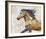 Dappled Horse - Gallop-Mark Chandon-Framed Giclee Print