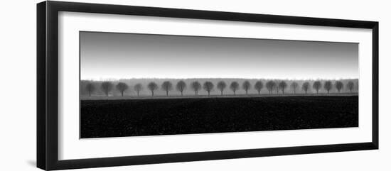 Dappled Morning Fields-Heather Ross-Framed Giclee Print